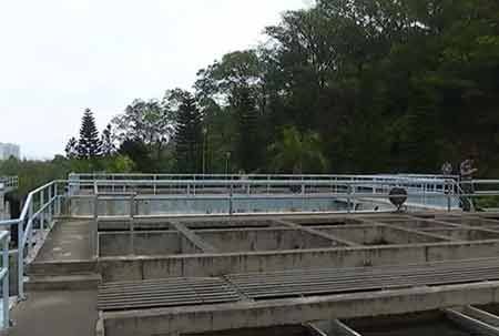 凈水廠現(xiàn)四腳魚(yú)