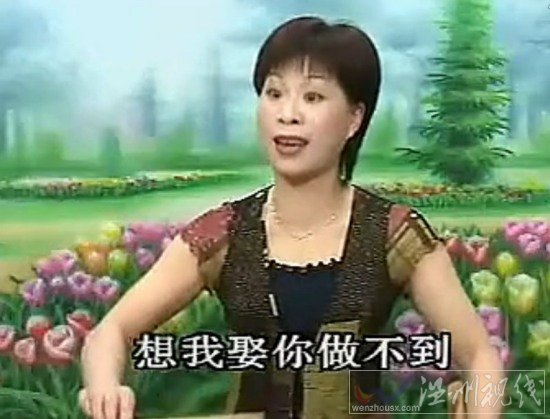 狄楊案第五集 楊文廣朱茶關落難