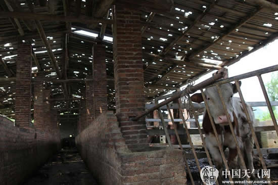 永州市道縣冰雹