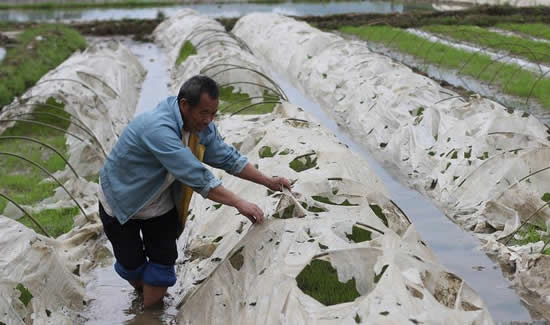 永州市道縣冰雹