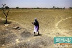 印度高溫創(chuàng)紀(jì)錄 5月19日印度最高氣溫51℃