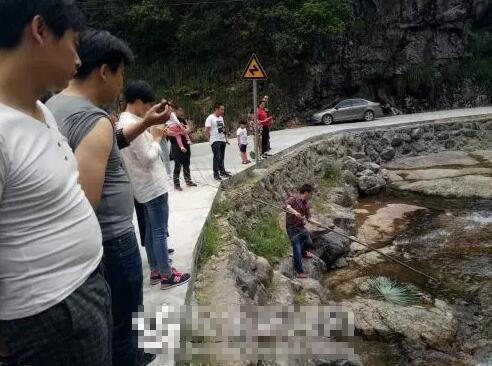 金華驚現五步蛇