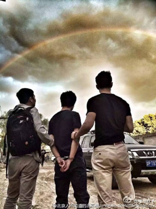 彩虹抓捕圖走紅