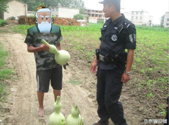 熊孩子偷葫蘆被抓