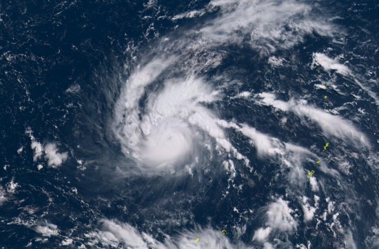 今年第1號臺風尼伯特