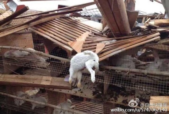 四川榮縣大風(fēng)