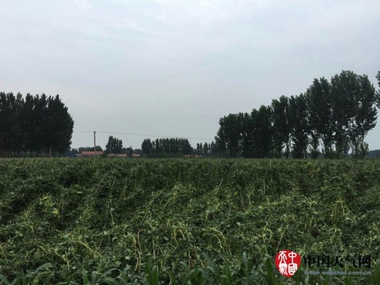 玉田縣大風(fēng)天氣