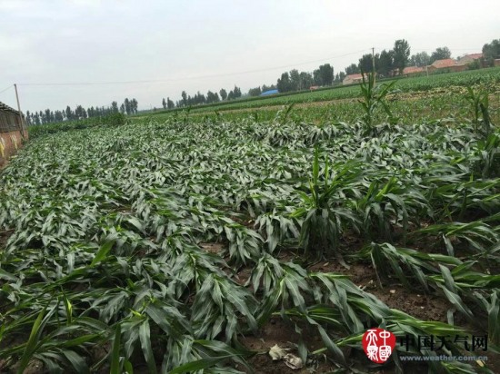 玉田縣大風(fēng)天氣