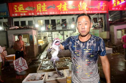 武漢現雙嘴怪魚