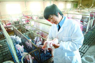 女警察轉(zhuǎn)崗成豬倌