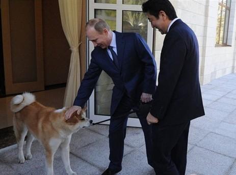 普京送安倍武士刀 安倍回贈武士頭盔