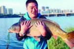 釣上50斤鯉魚王 被人買去放生