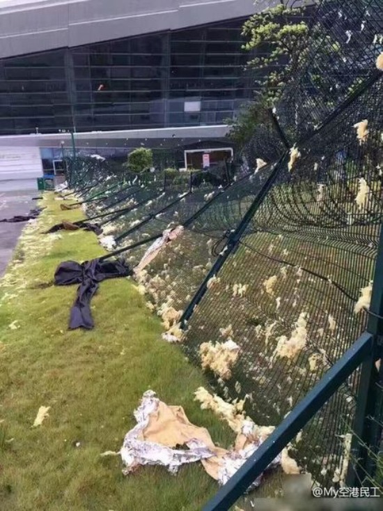 廈門機場飛機被臺風吹跑