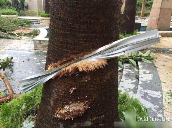 莫蘭蒂15級(jí)強(qiáng)臺(tái)風(fēng)到底有多厲害