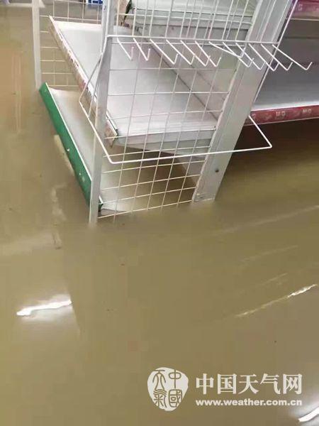 臺風鲇魚影響平陽水頭暴雨內(nèi)澇變水城