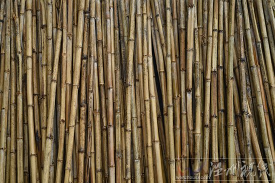 永嘉掃帚批發(fā)零售