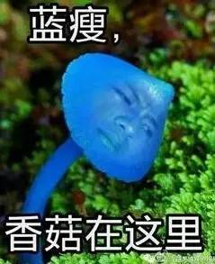 藍瘦香菇被搶注
