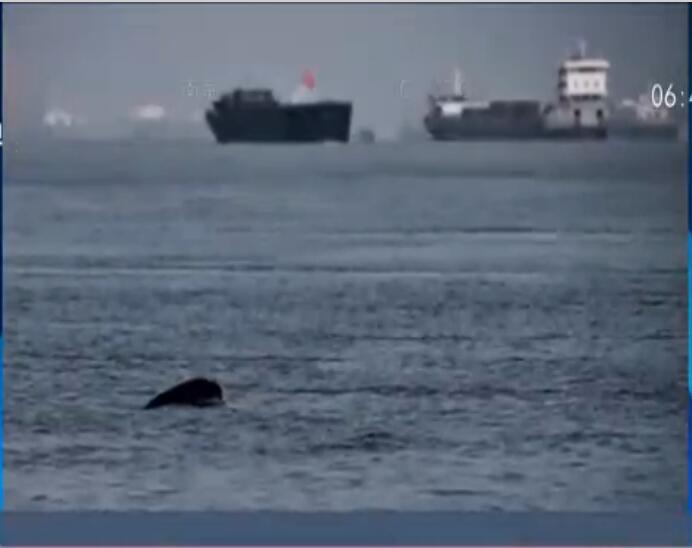 長江女神疑現身