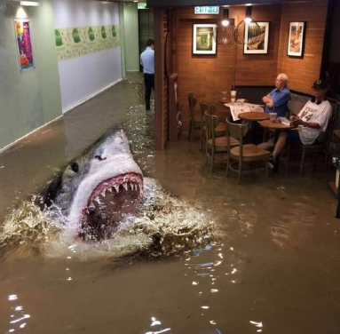 香港老伯臺(tái)風(fēng)中看報(bào)紙 網(wǎng)友腦洞大開(kāi)玩p圖