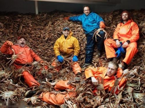 帝王蟹捕手5天賺65萬