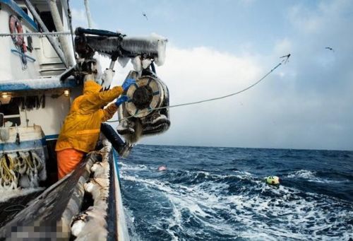 帝王蟹捕手5天賺65萬