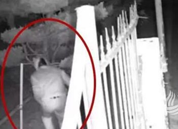 內(nèi)褲套頭搶前女友