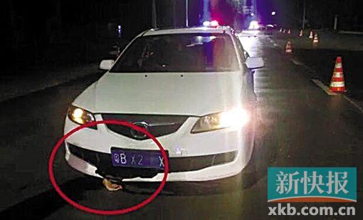 車底伸出一只血手