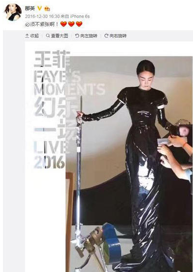 那英怒罵惡評網友