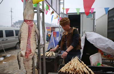 廟會燒烤攤賣鱷魚肉