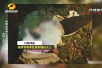 女子冒出兩個丈夫 湘潭女子被情夫譚述初殺害
