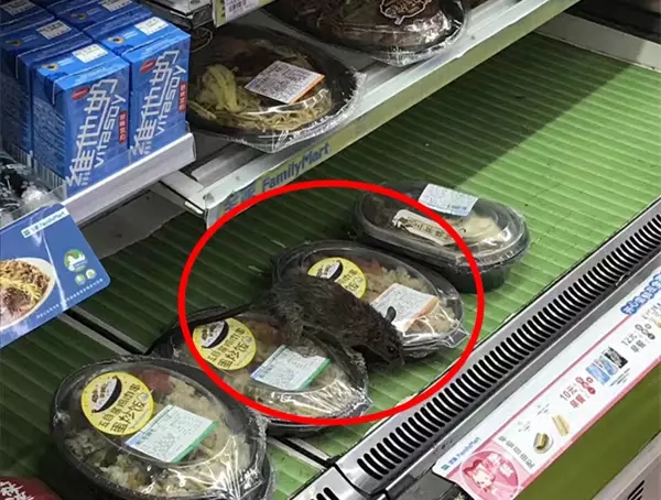 便利店老鼠蹲盒飯