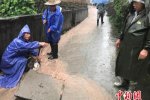 浙江16970人受災 遂昌暴雨洪災泥石流