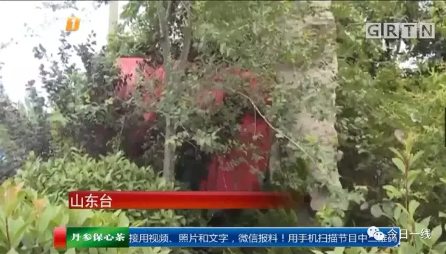 司機頭朝下盲開