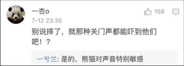 熊貓遭粗魯對待