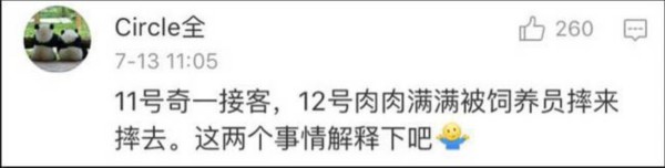 熊貓遭粗魯對待