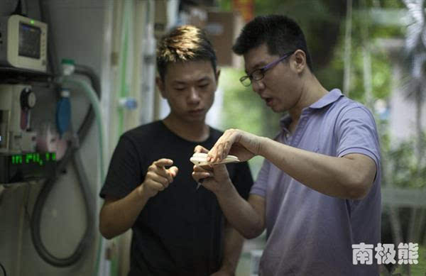 3D打印鈦合金鳥嘴