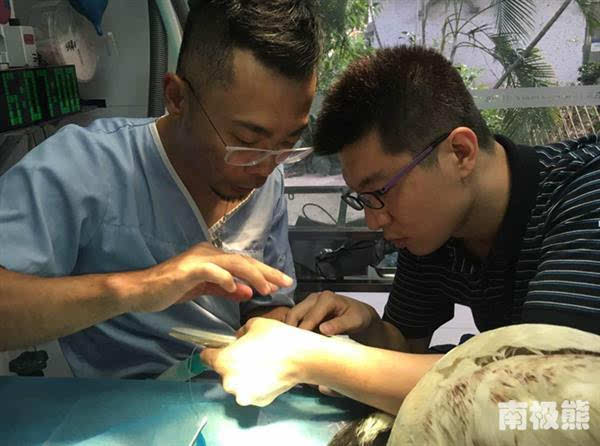 3D打印鈦合金鳥嘴