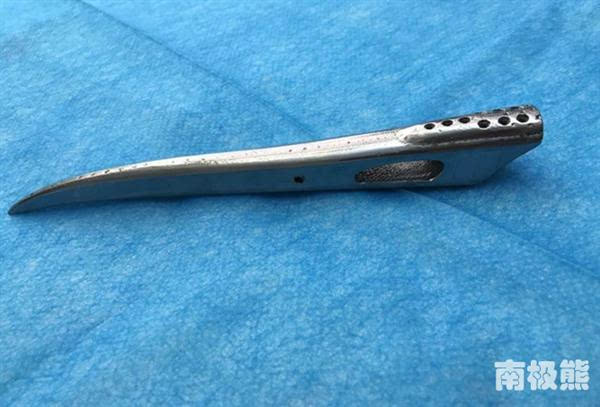 3D打印鈦合金鳥嘴