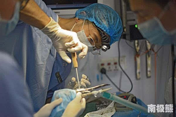 3D打印鈦合金鳥嘴