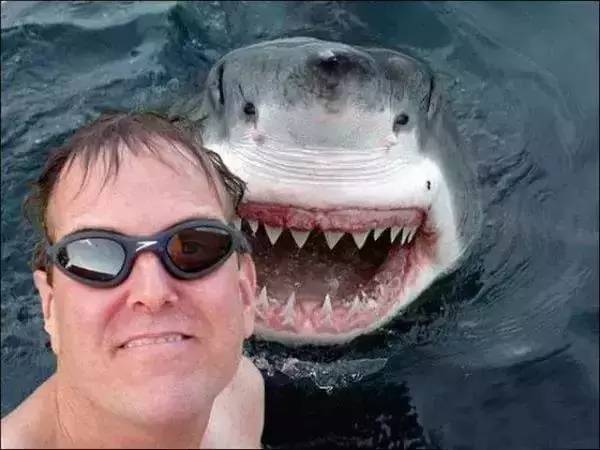 游客懸崖自拍跌落大海溺亡