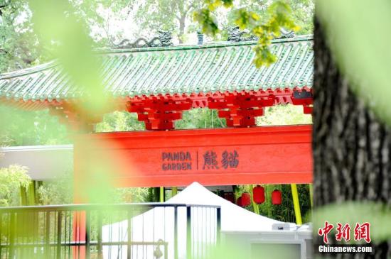 大熊貓住千萬豪宅