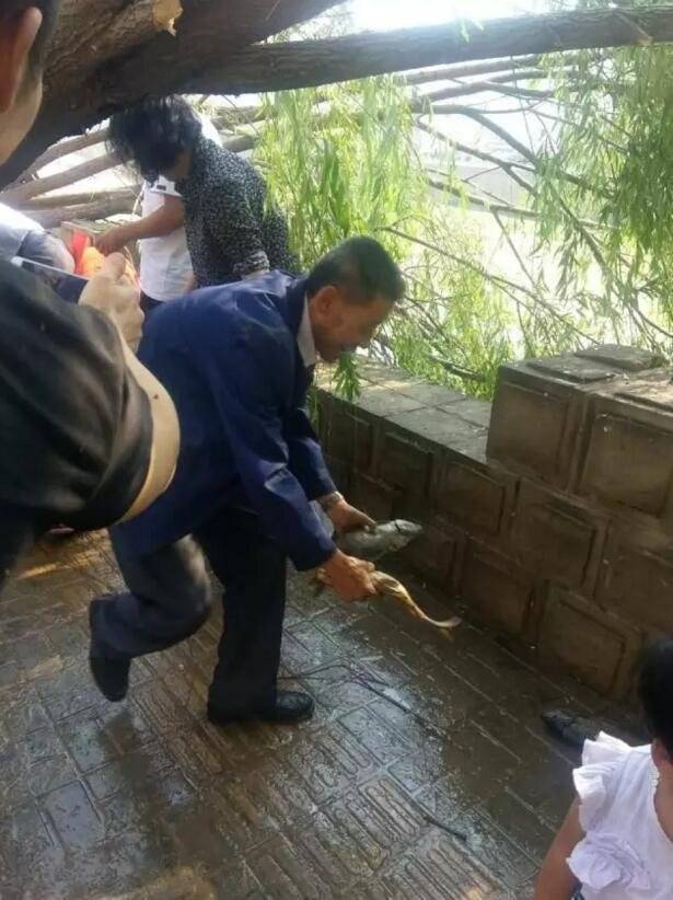 車側翻魚兒遭哄搶