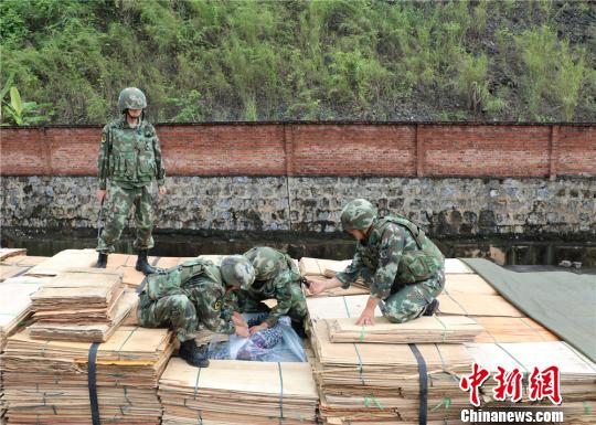 云南查獲走私凍品