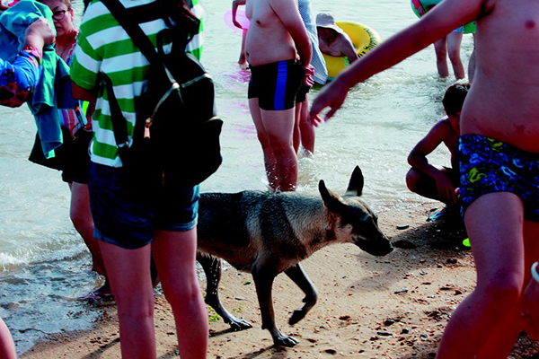 浴場現人狗同浴