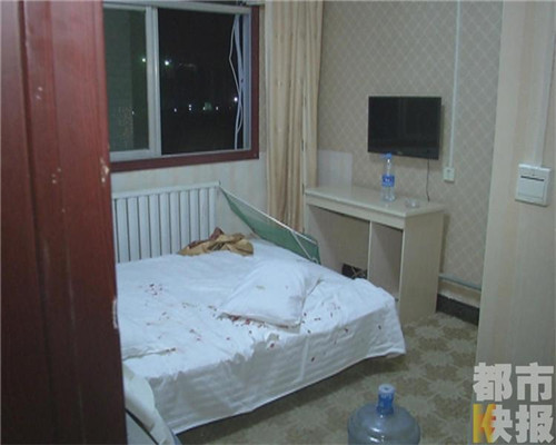 酒店枕頭驚現(xiàn)刺猬