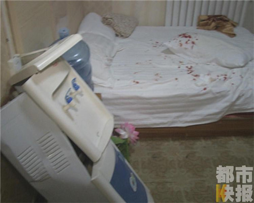 酒店枕頭驚現(xiàn)刺猬