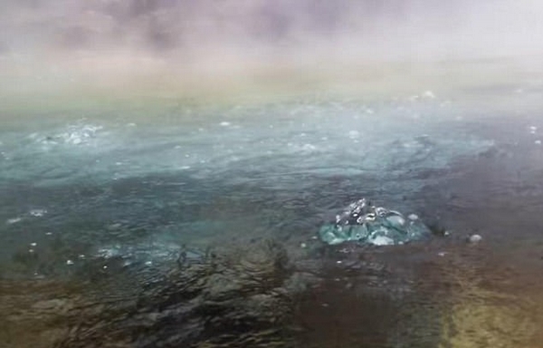 秘魯河流燙死動物