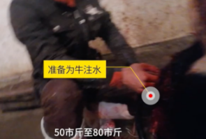 一頭牛注水60斤