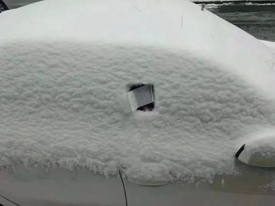 這張罰單網友笑瘋