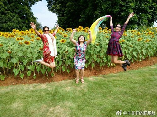 阿姨7條絲巾照相